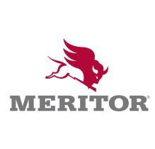 MERITOR 99510003PK20 - WASHER (SPRING LOCK M12)